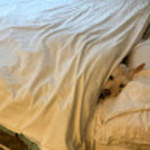 Meet your Posher, Cathy